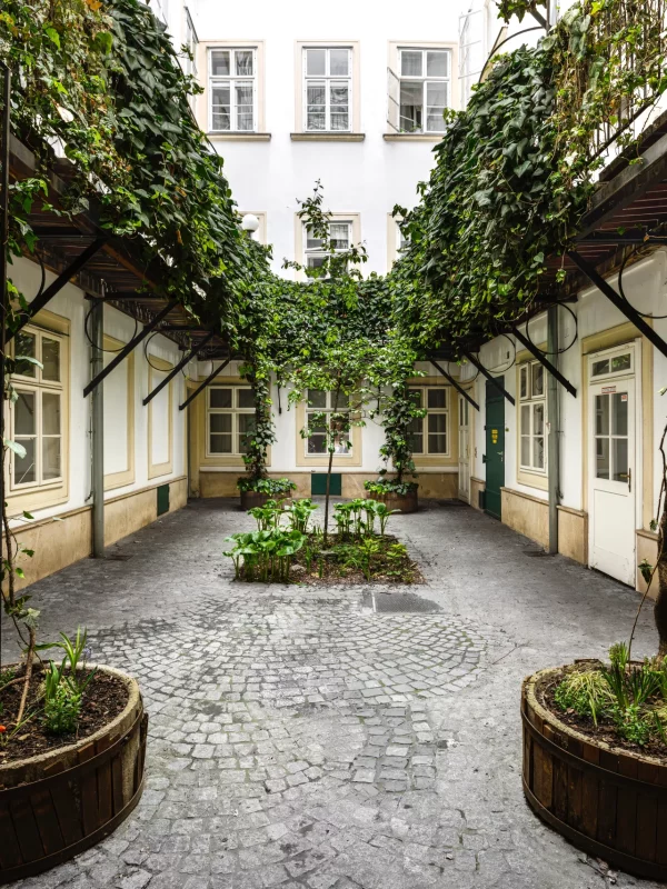 Schönlaterngasse 8, 1010 WIen