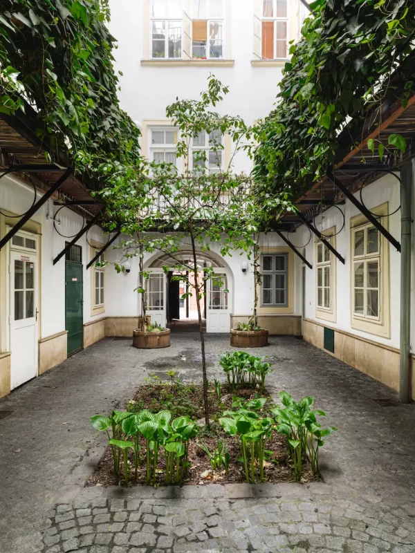 Schönlaterngasse 8, 1010 WIen